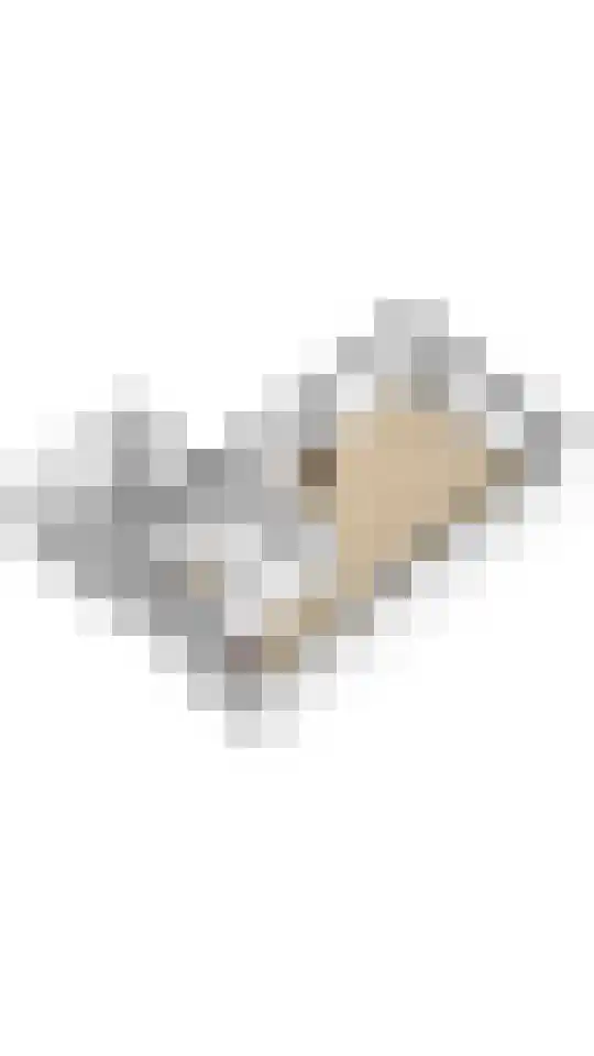 Wickenburglaan 18 Utrecht thumbnail 46