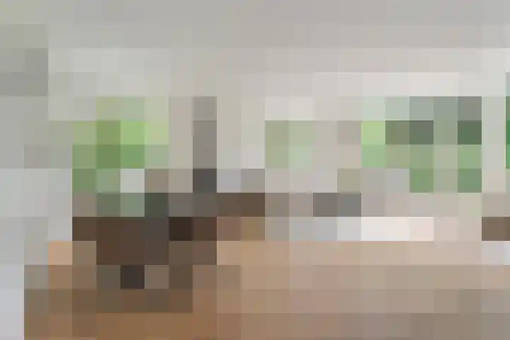 Wickenburglaan 18 Utrecht thumbnail 5