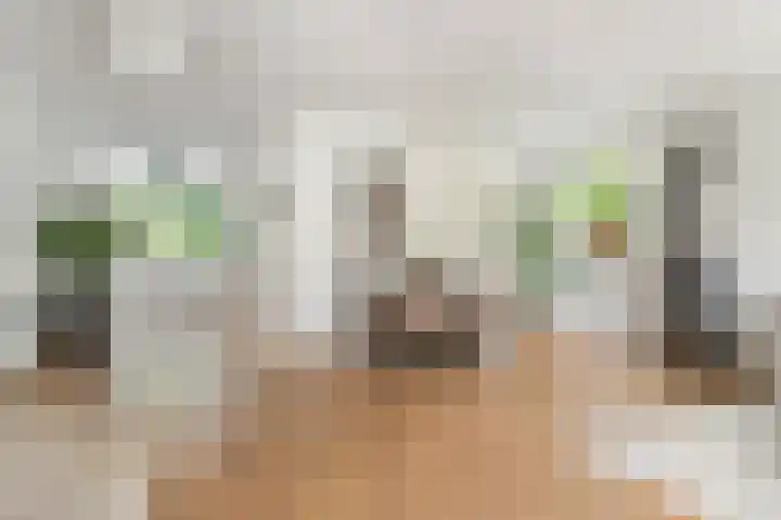 Wickenburglaan 18 Utrecht thumbnail 7