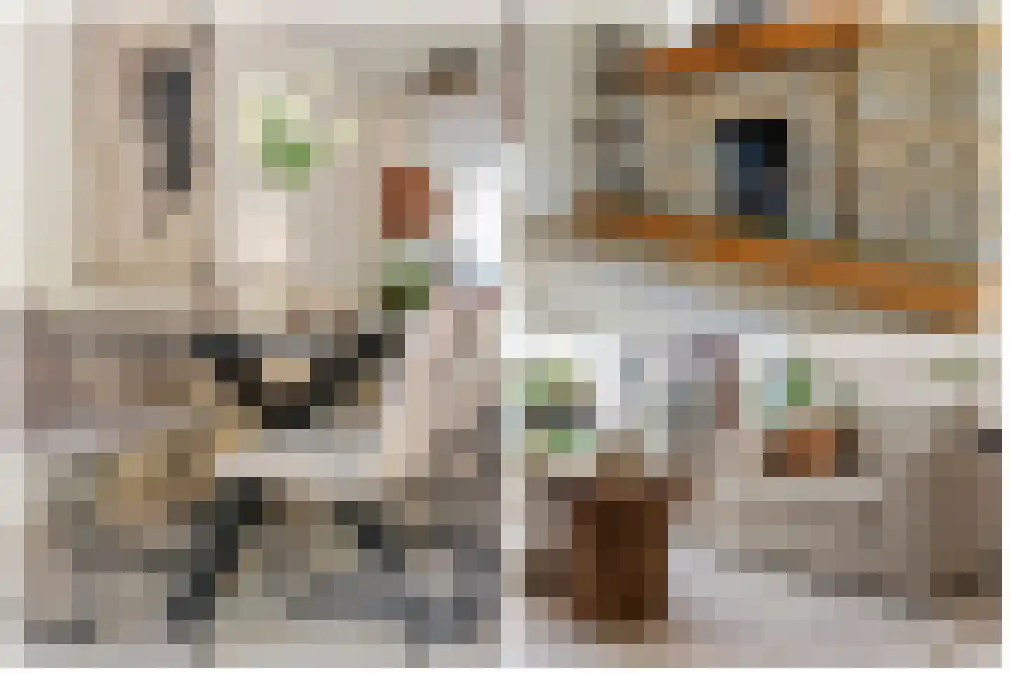 Wickenburglaan 36 Utrecht thumbnail 10