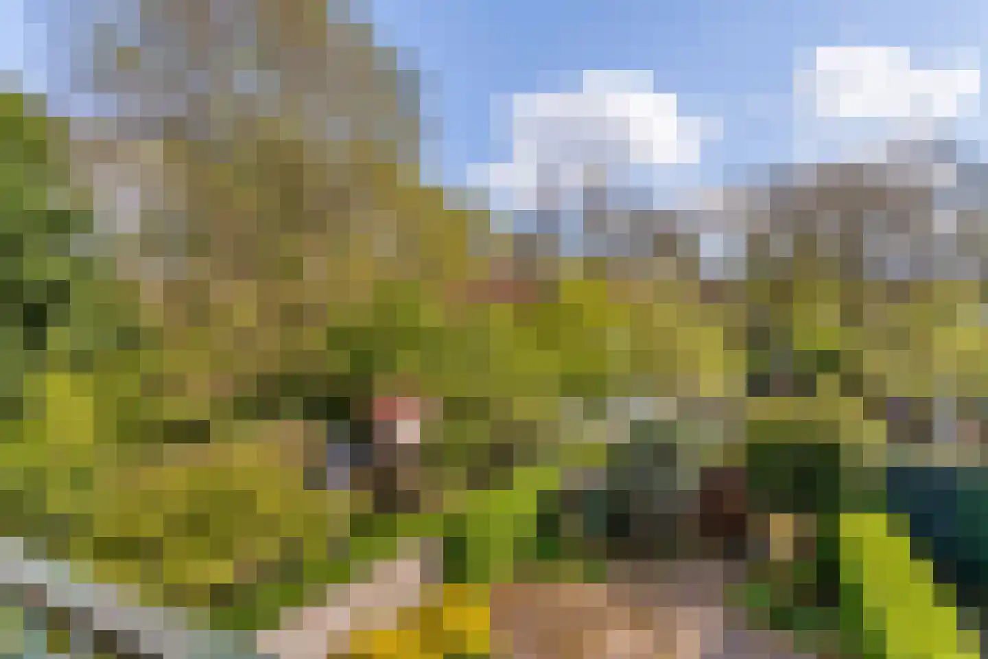Wickenburglaan 36 Utrecht thumbnail 24
