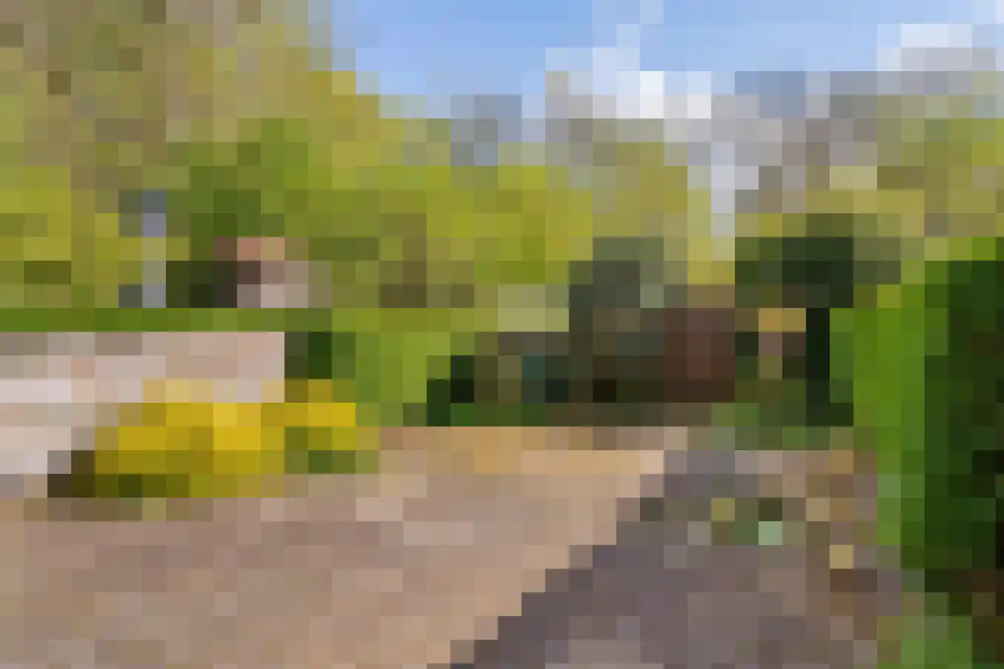 Wickenburglaan 36 Utrecht thumbnail 26