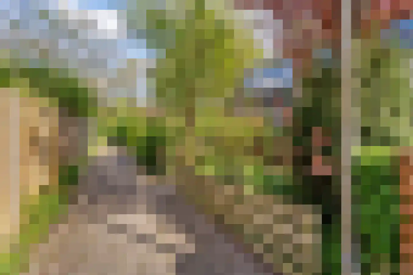 Wickenburglaan 36 Utrecht thumbnail 27
