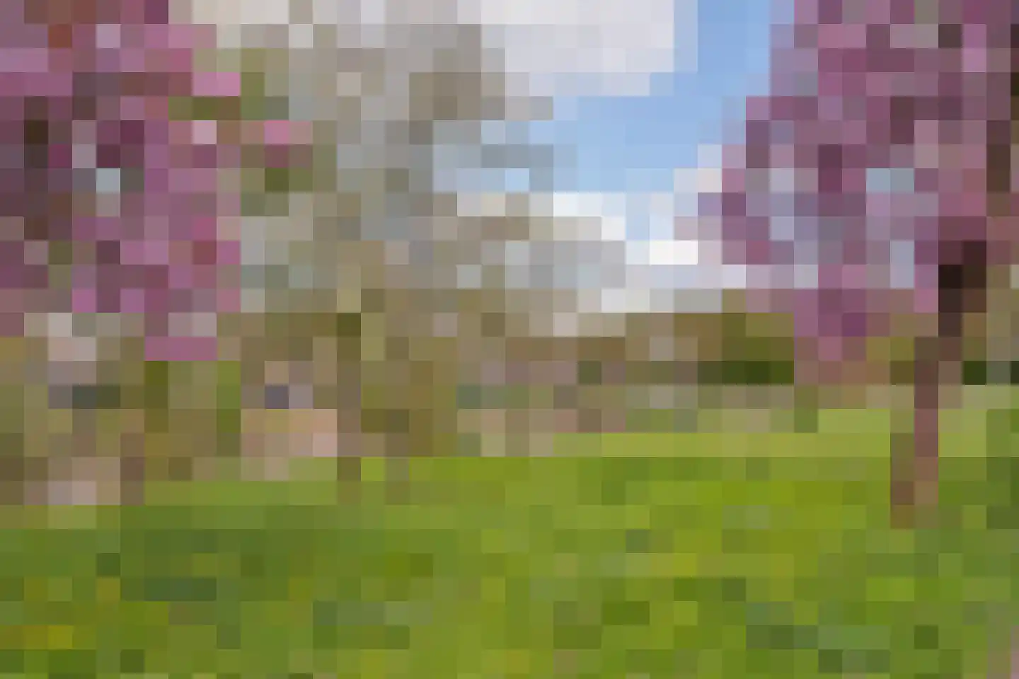 Wickenburglaan 36 Utrecht thumbnail 31