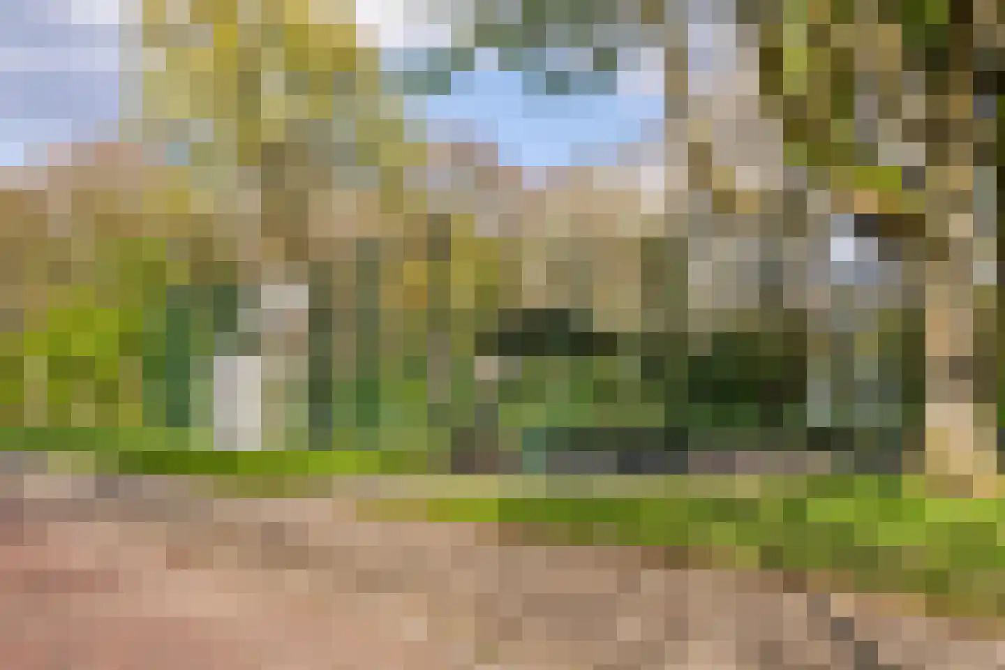 Wickenburglaan 36 Utrecht thumbnail 33