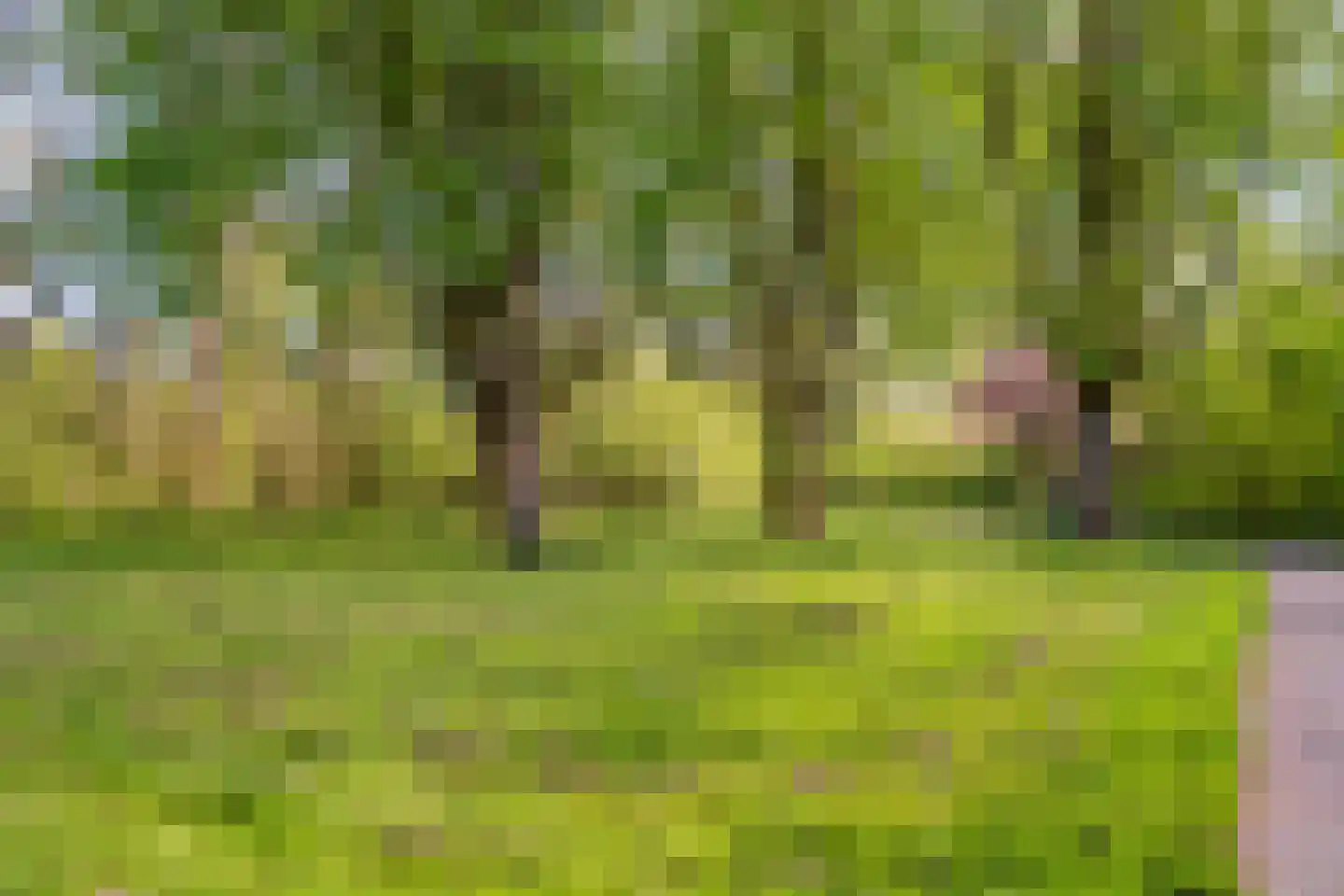Wickenburglaan 36 Utrecht thumbnail 34
