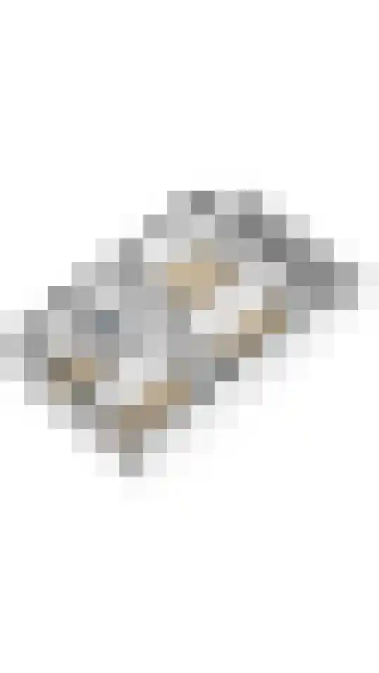Wickenburglaan 36 Utrecht thumbnail 38