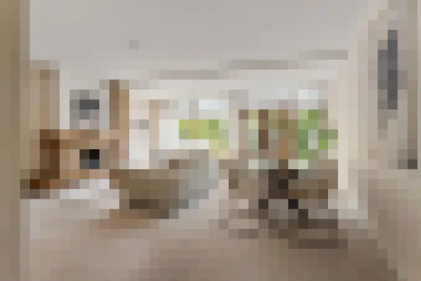 Wickenburglaan 36 Utrecht thumbnail 4