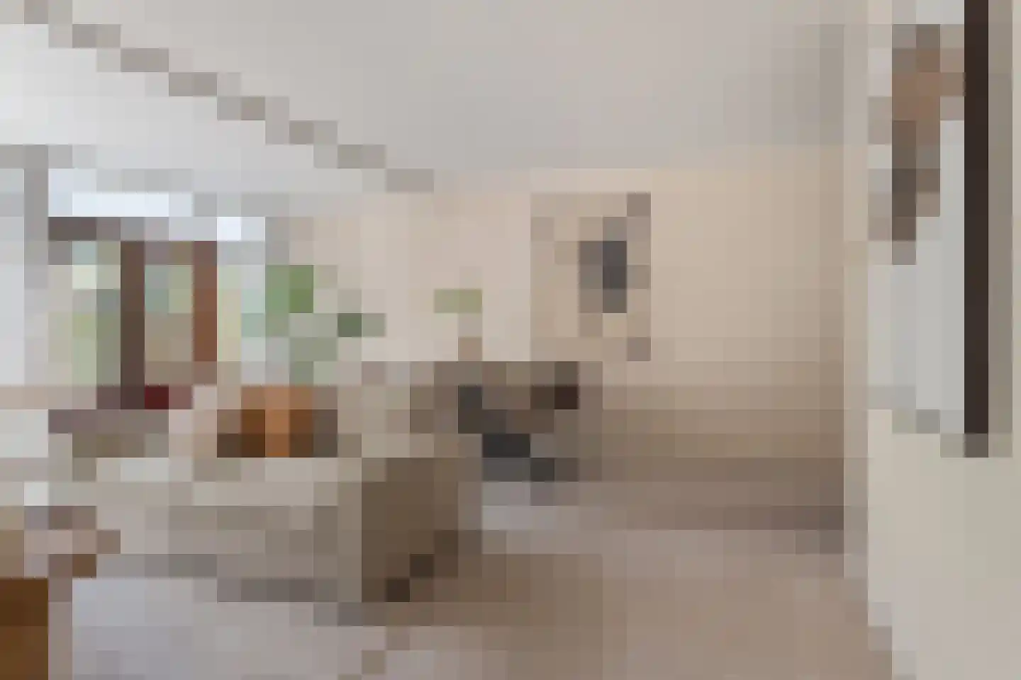 Wickenburglaan 36 Utrecht thumbnail 9