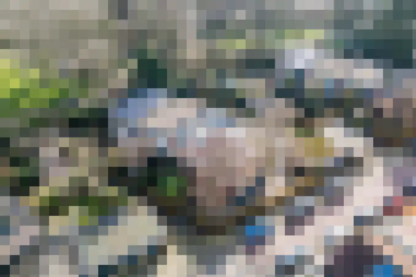 Wickenburglaan 40 Utrecht thumbnail 52