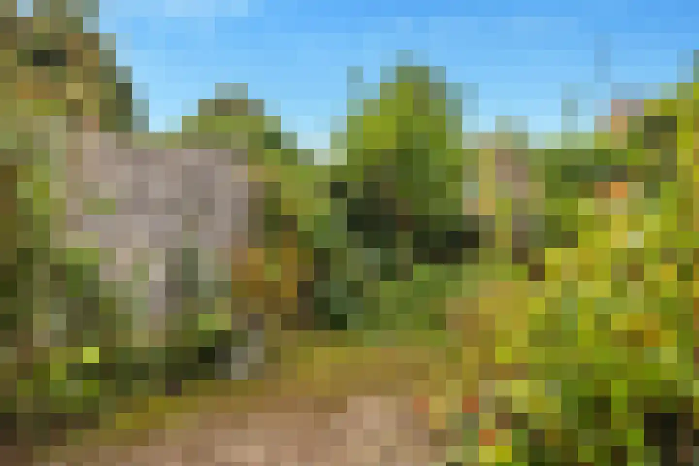 Wide Steech 4 Woudsend thumbnail 24