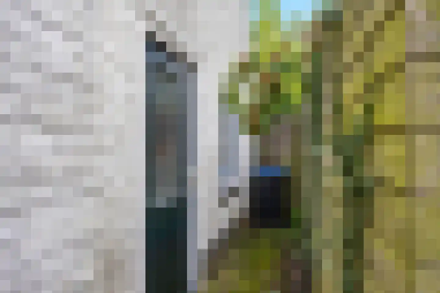 Wide Steech 4 Woudsend thumbnail 27