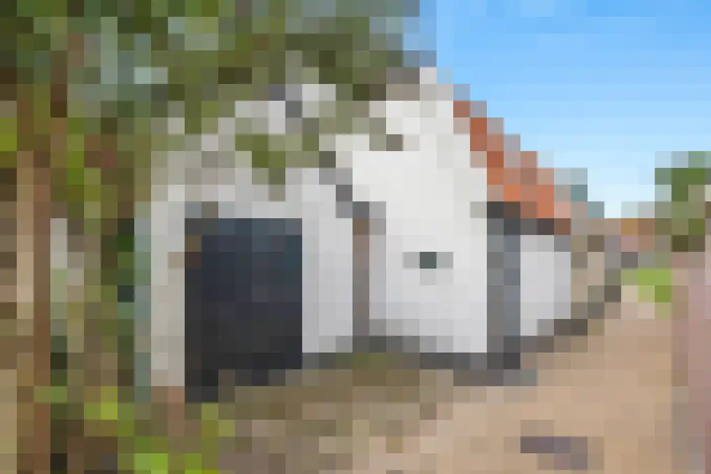 Wide Steech 4 Woudsend thumbnail 4