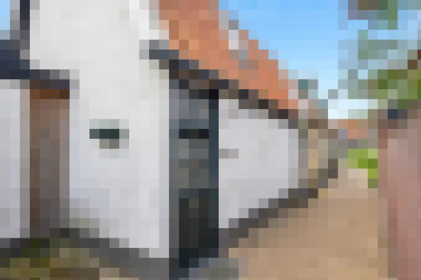 Wide Steech 4 Woudsend thumbnail 5
