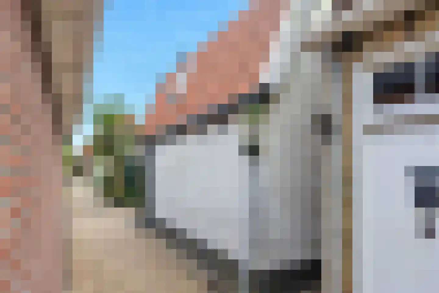Wide Steech 4 Woudsend thumbnail 6