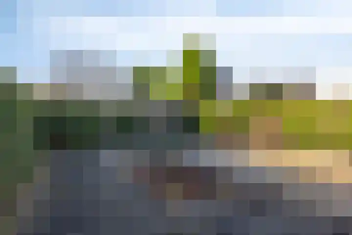 Widooiestraat 8 Maastricht thumbnail 24