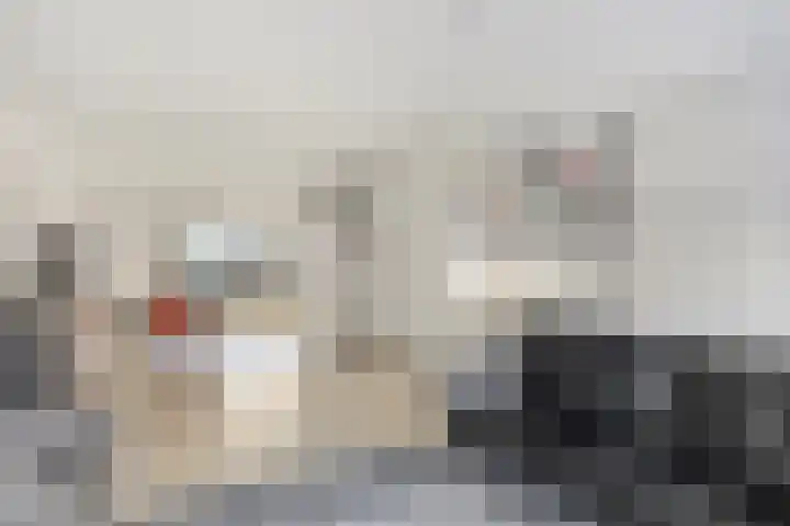 Widooiestraat 8 Maastricht thumbnail 7