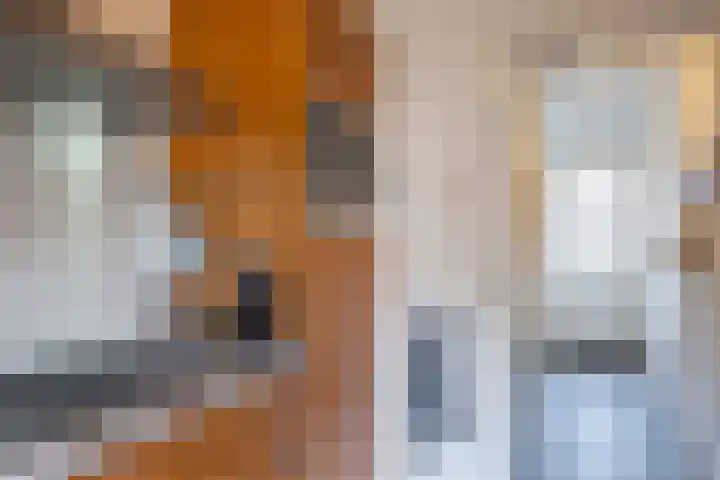 Widukindstraat 19 Groenlo thumbnail 10