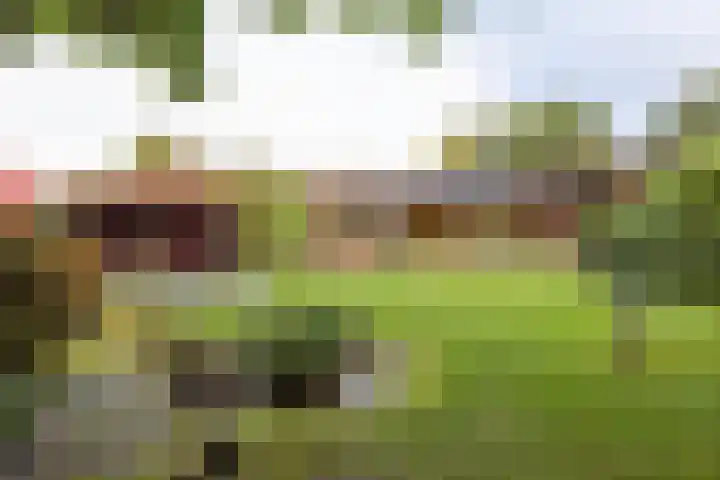 Wiedenbroeksingel 5 Haaksbergen thumbnail 49