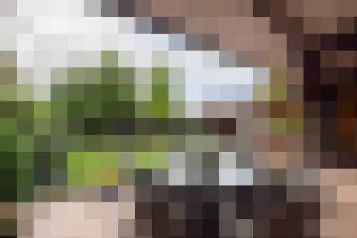 Wiedenbroeksingel 5 Haaksbergen thumbnail 51