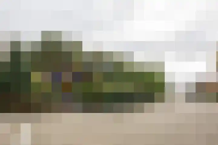 Wiedenbroeksingel 5 Haaksbergen thumbnail 56
