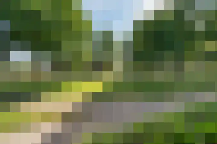Wiedenbroeksingel 72 Haaksbergen thumbnail 44
