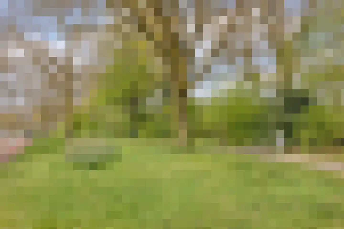 Wiedenbroeksingel 80 Haaksbergen thumbnail 32