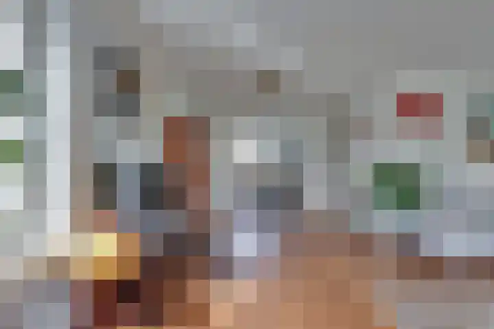 Wiedenland 15 Nieuwleusen thumbnail 10