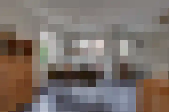 Wiedenland 15 Nieuwleusen thumbnail 11
