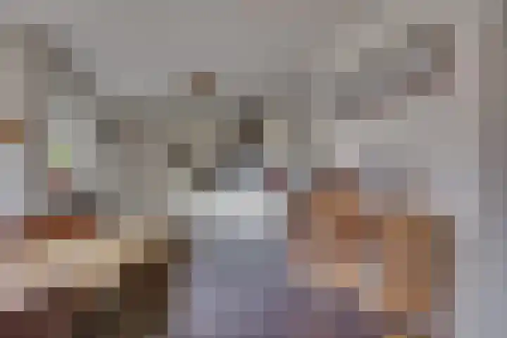 Wiedenland 15 Nieuwleusen thumbnail 12