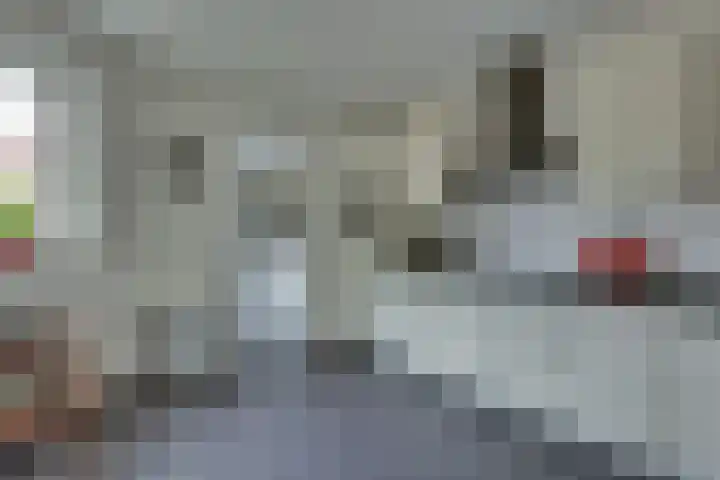 Wiedenland 15 Nieuwleusen thumbnail 15