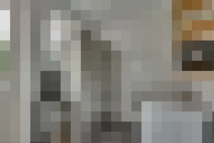 Wiedenland 15 Nieuwleusen thumbnail 16