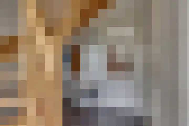 Wiedenland 15 Nieuwleusen thumbnail 18