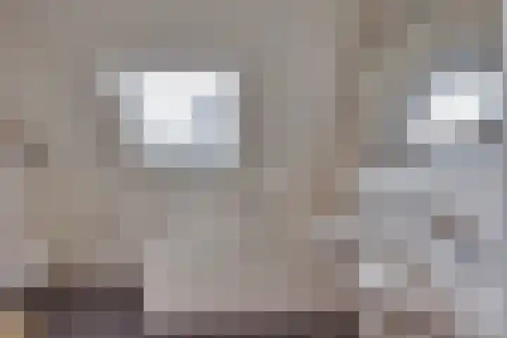 Wiedenland 15 Nieuwleusen thumbnail 21