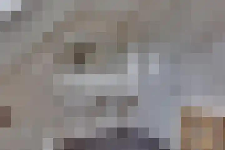 Wiedenland 15 Nieuwleusen thumbnail 22
