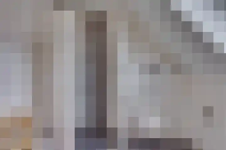 Wiedenland 15 Nieuwleusen thumbnail 23