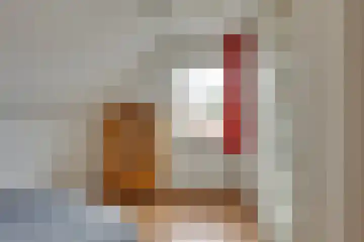 Wiedenland 15 Nieuwleusen thumbnail 24
