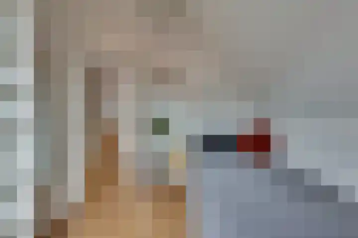 Wiedenland 15 Nieuwleusen thumbnail 25