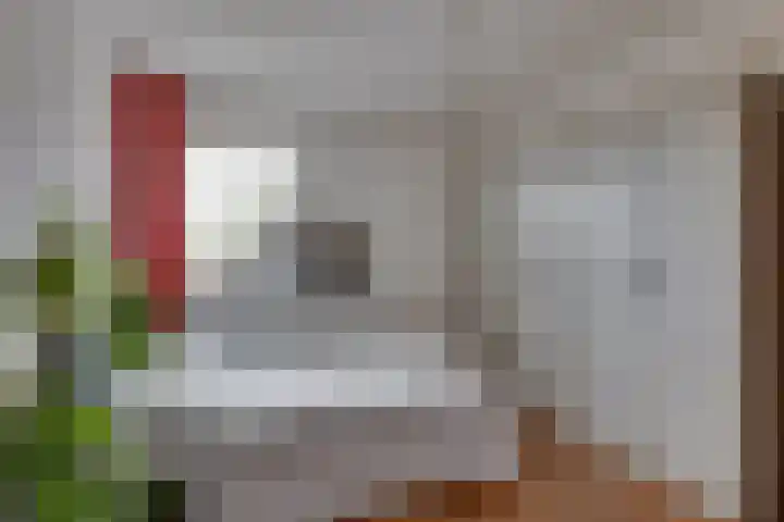 Wiedenland 15 Nieuwleusen thumbnail 26