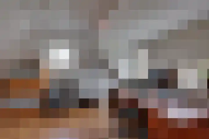 Wiedenland 15 Nieuwleusen thumbnail 29