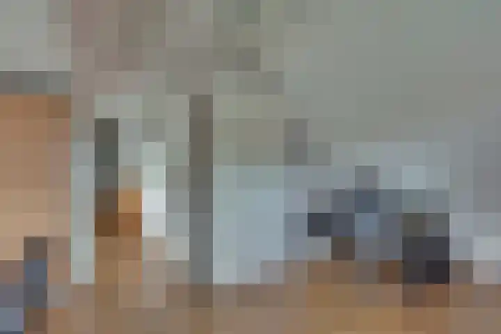 Wiedenland 15 Nieuwleusen thumbnail 30