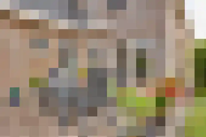 Wiedenland 15 Nieuwleusen thumbnail 32