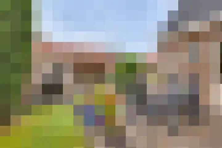 Wiedenland 15 Nieuwleusen thumbnail 33