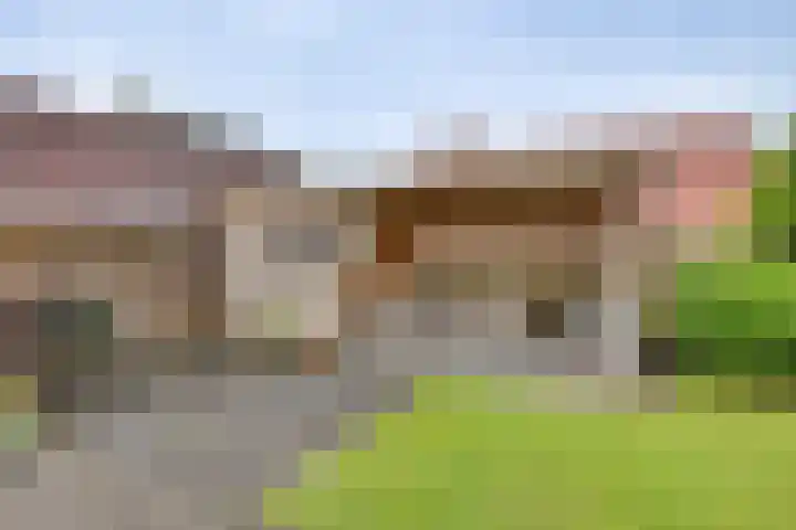 Wiedenland 15 Nieuwleusen thumbnail 34