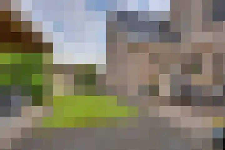 Wiedenland 15 Nieuwleusen thumbnail 36