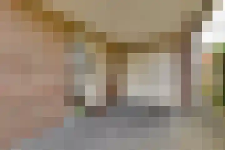 Wiedenland 15 Nieuwleusen thumbnail 39