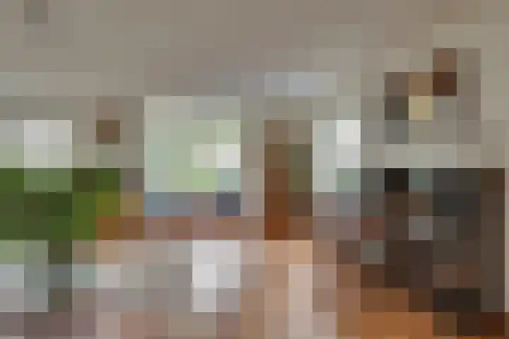 Wiedenland 15 Nieuwleusen thumbnail 4