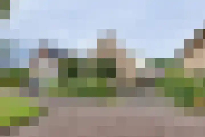 Wiedenland 15 Nieuwleusen thumbnail 41