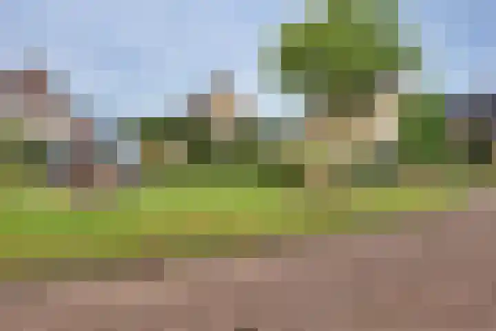 Wiedenland 15 Nieuwleusen thumbnail 42