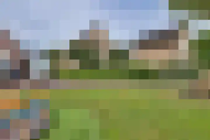 Wiedenland 15 Nieuwleusen thumbnail 43